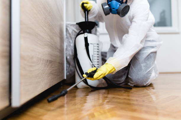 Best Best Pest Control Companies  in Eudora, KS