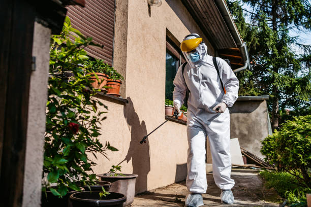 Best Bed Bug Extermination  in Eudora, KS