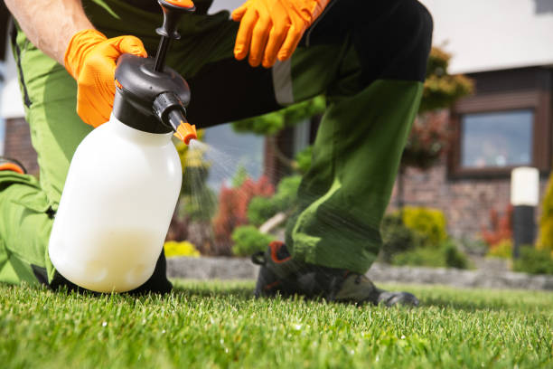 Best Insect Control  in Eudora, KS