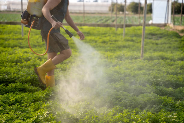 Best Commercial Pest Control Services  in Eudora, KS