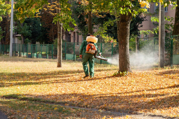 Best Pest Control Near Me  in Eudora, KS