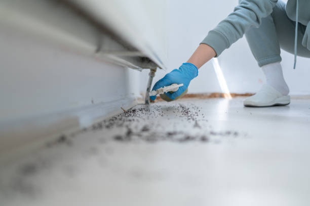 Best Pest Inspection Near Me  in Eudora, KS